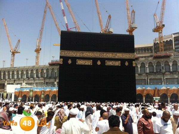 3omranewyaffa326 (68).JPG